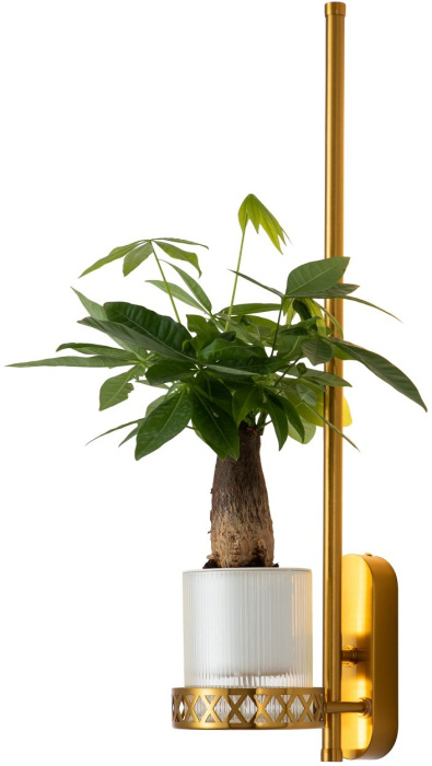 Бра Greenery 4050-1W
