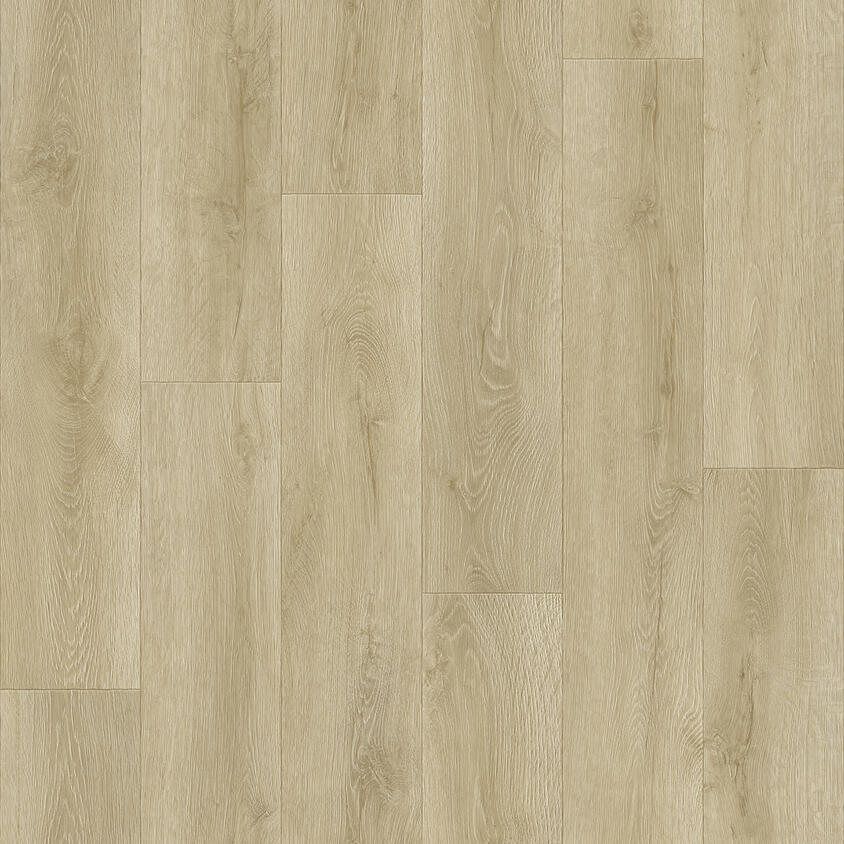 Линолеум Tarkett Gladiator Formosa 1, 3 м