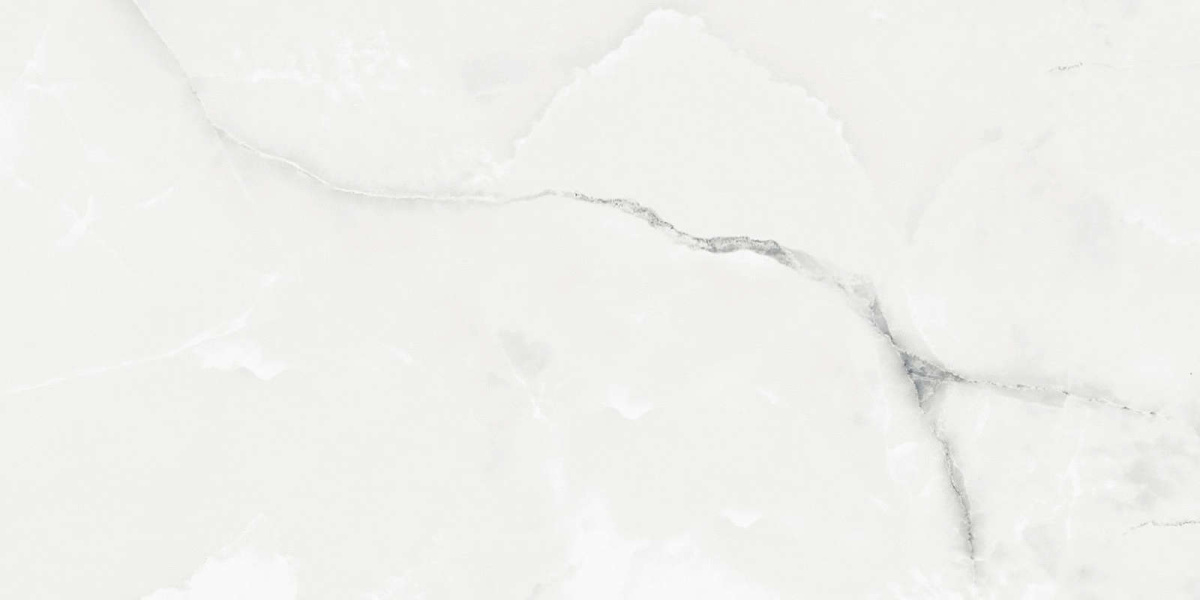 Керамогранит Progres Royal Grey Light gloss AB 1025G 1200x600