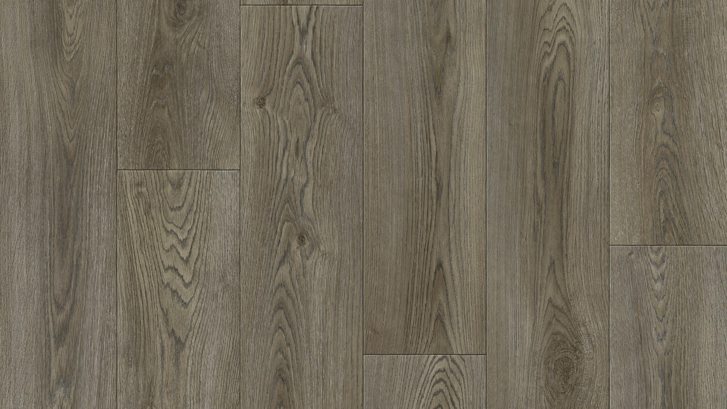 Линолеум Tarkett Club Evora 2, 2,5 м