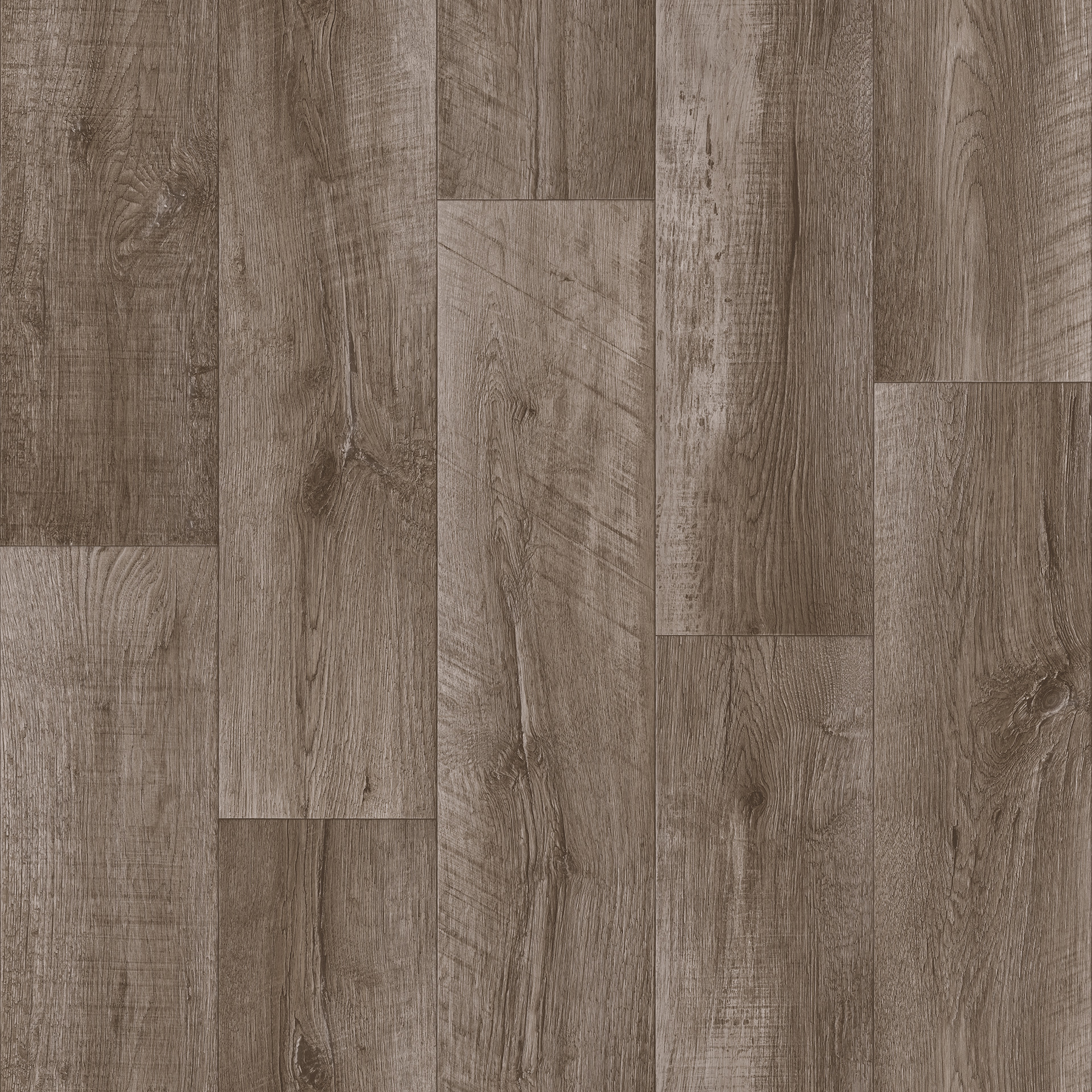 Линолеум Tarkett Club Alpha 2, 3,5 м